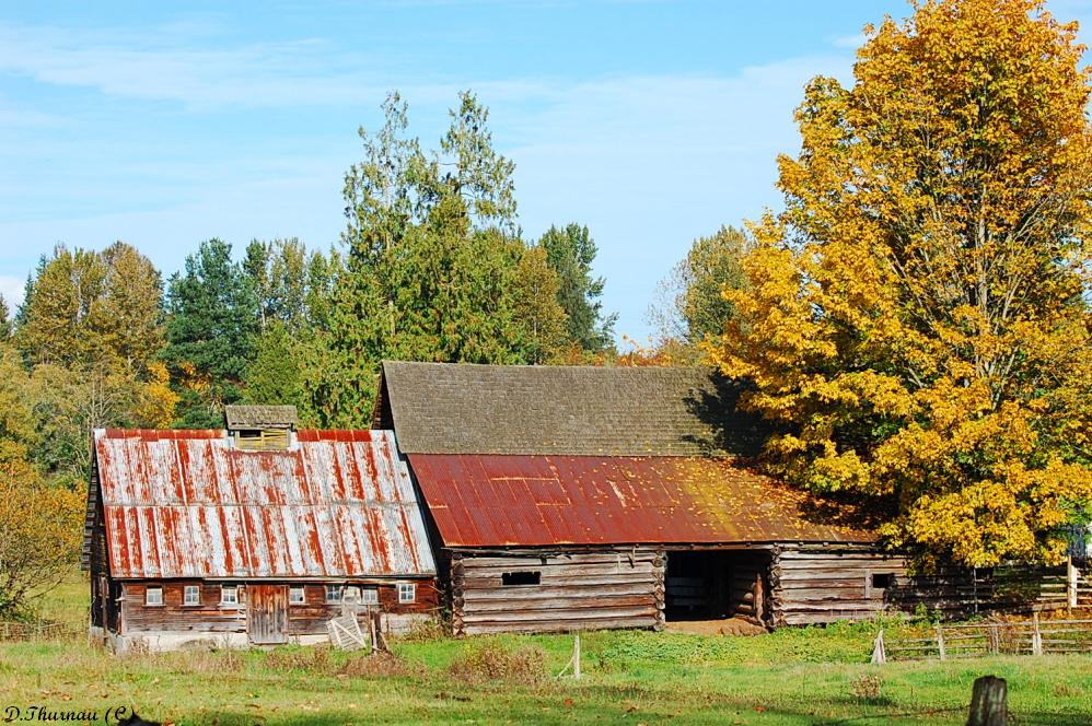 old log barn