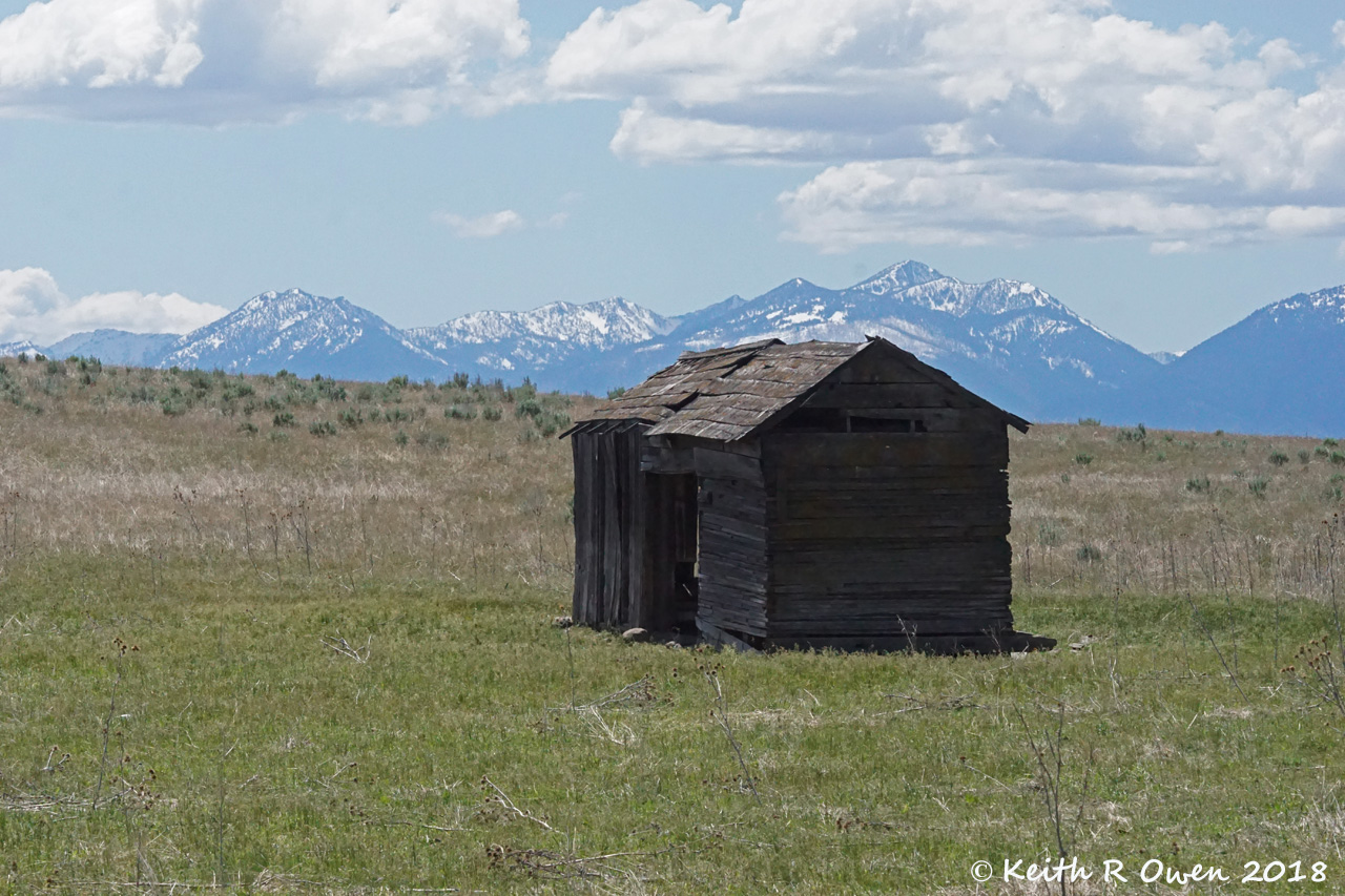 Old Shed