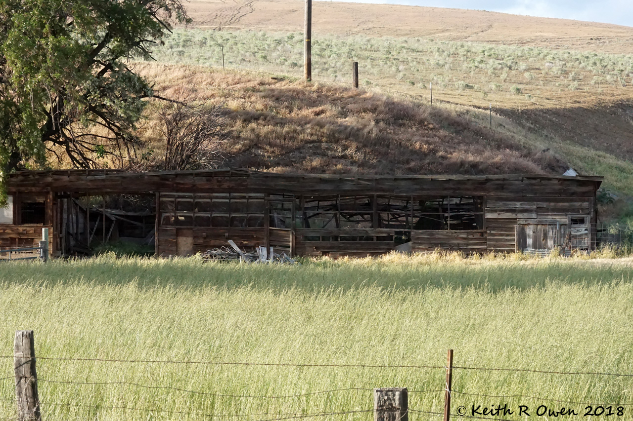 Old Shed