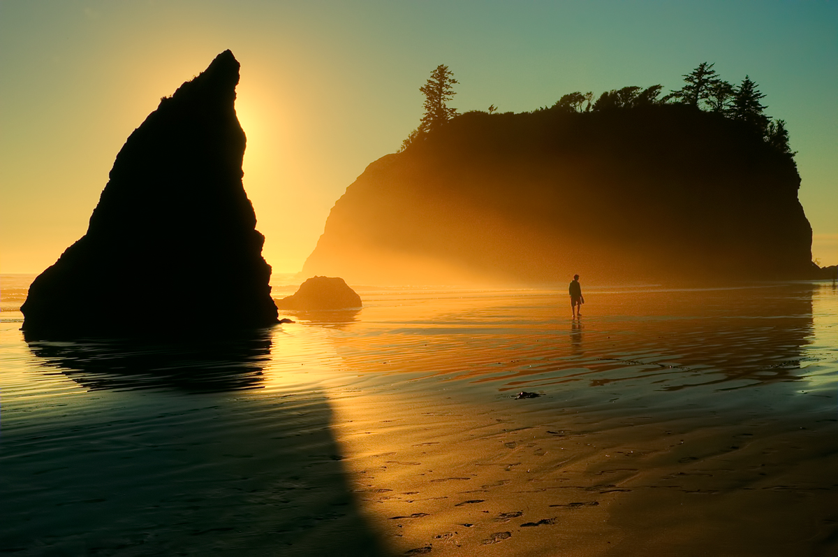 Olympic NP