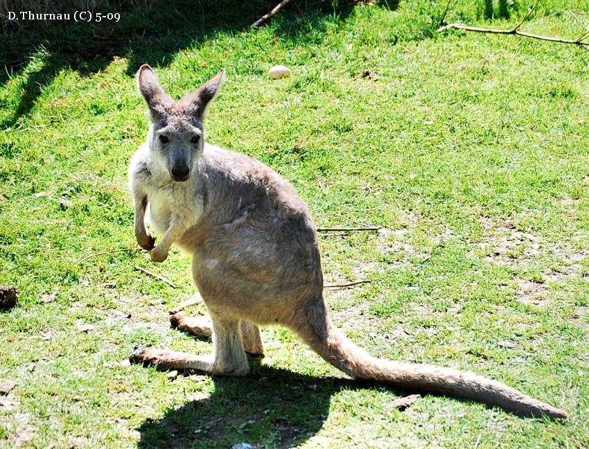 on a hop  about