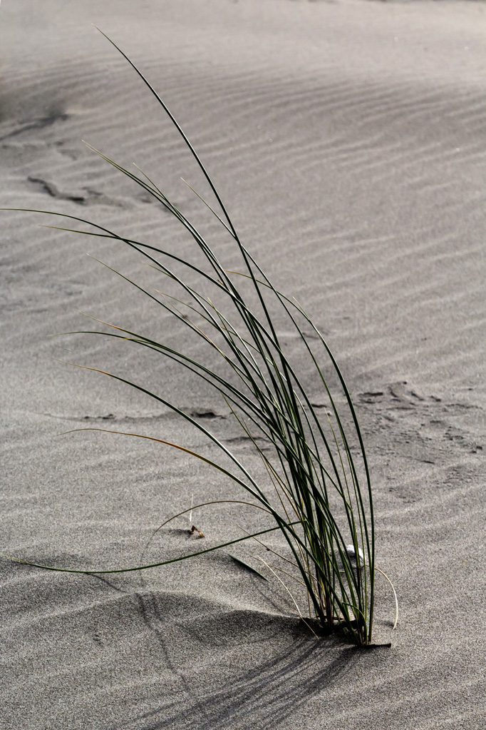 on the Beach