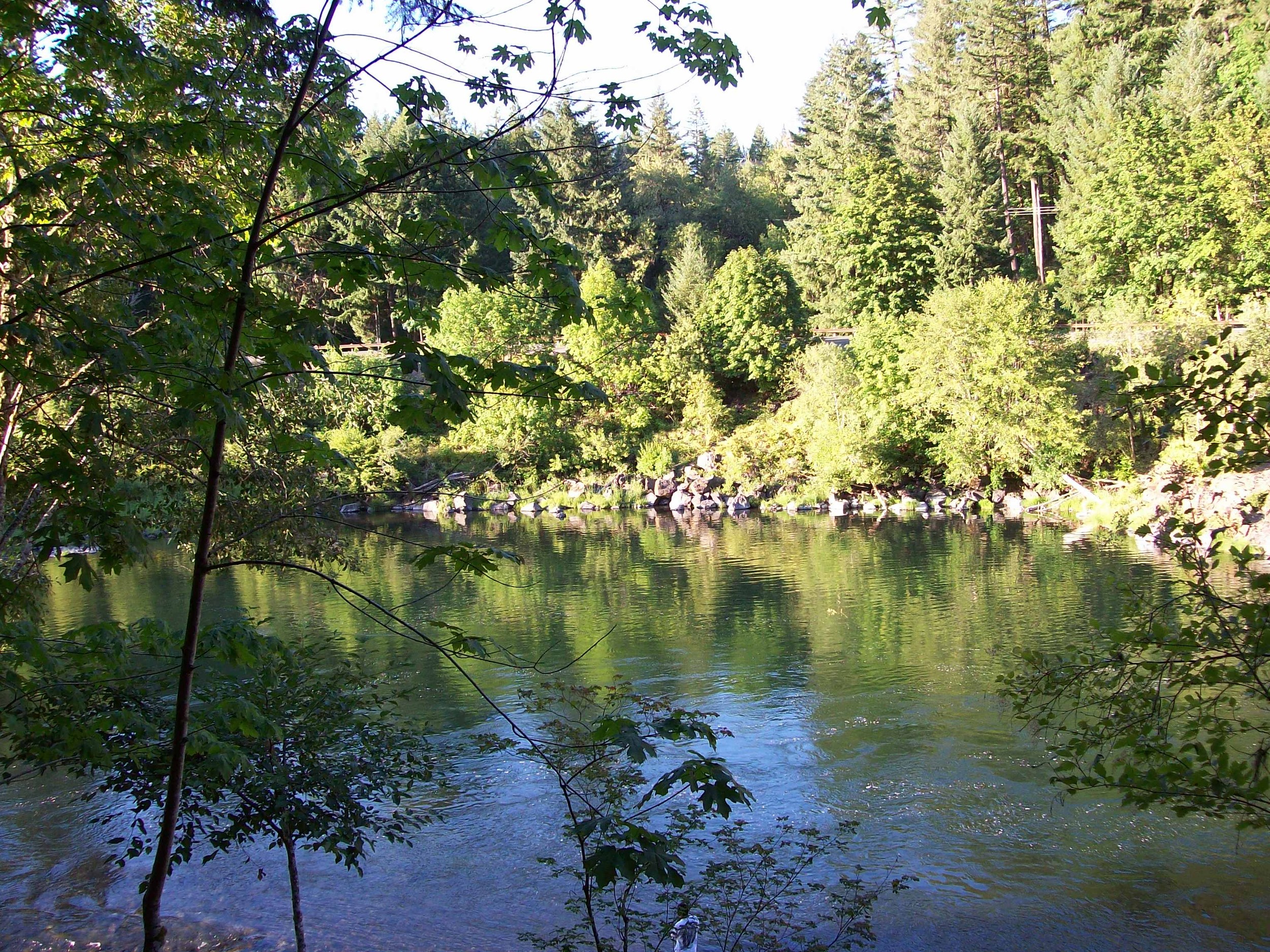 On the N. Umpqua Trail