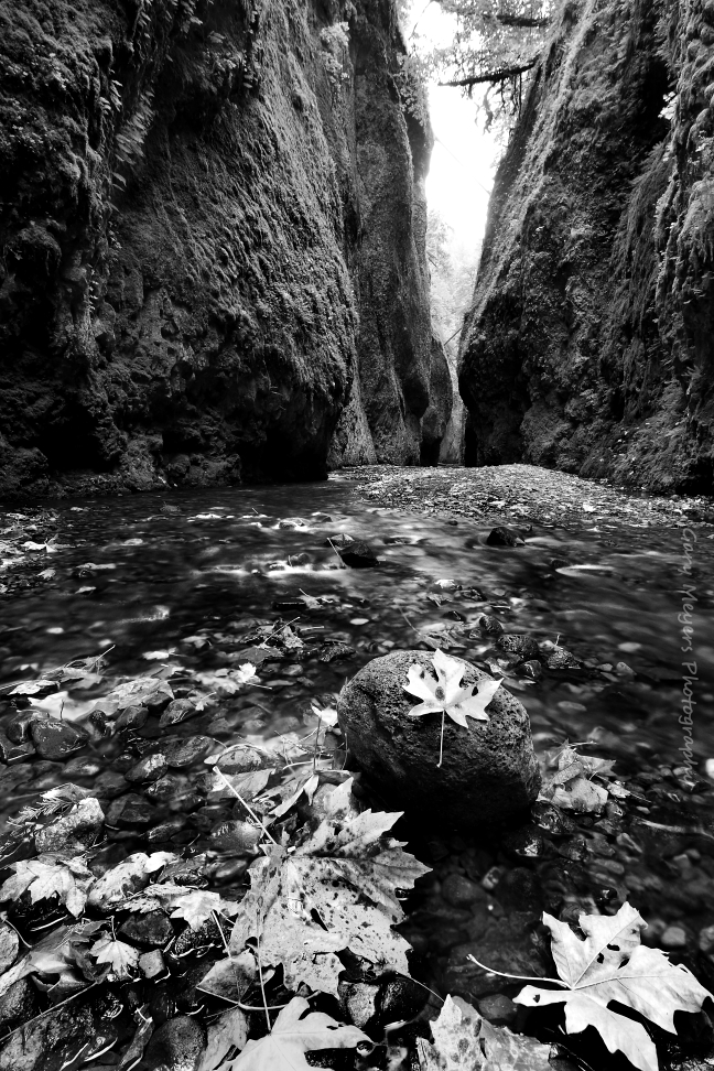 Oneonta Gorge