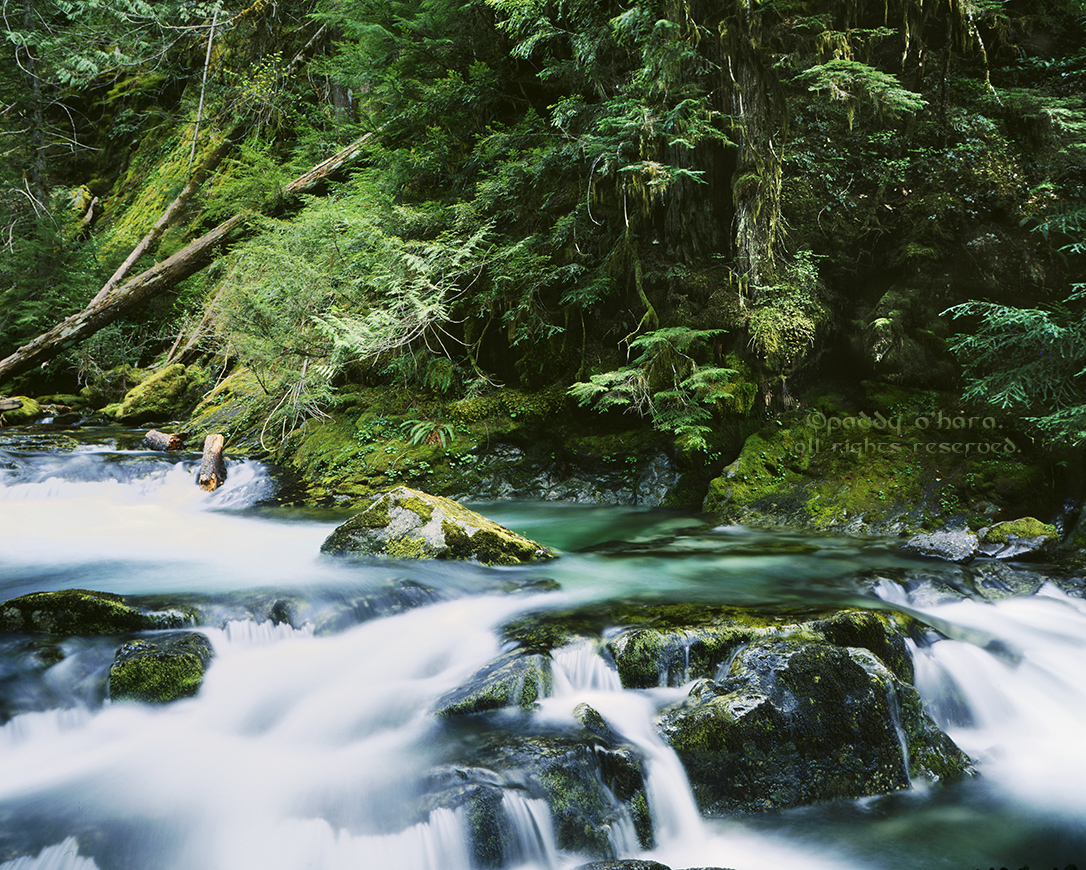 Opal Creek #3 (from 4x5)