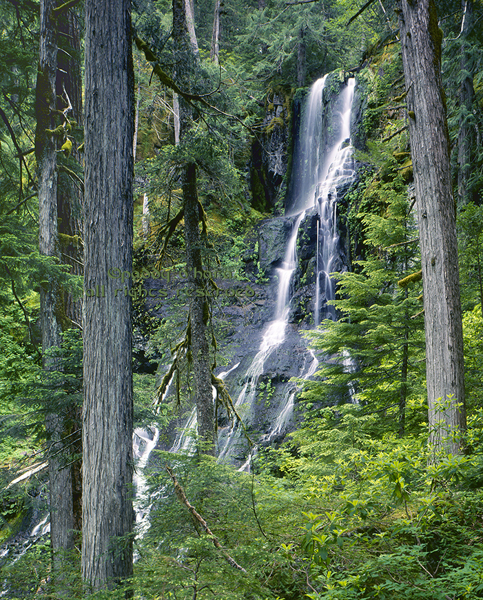 Opal Falls (from 4x5)