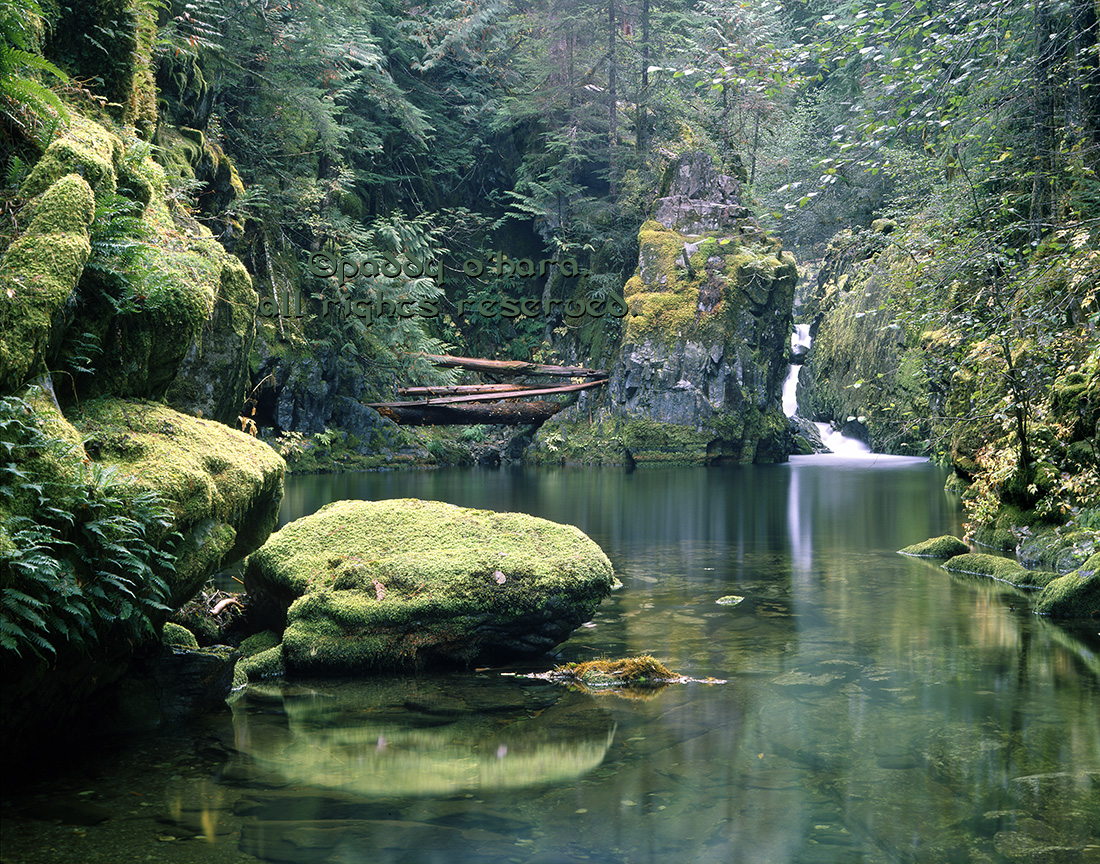 Opal Pool (from 4x5)