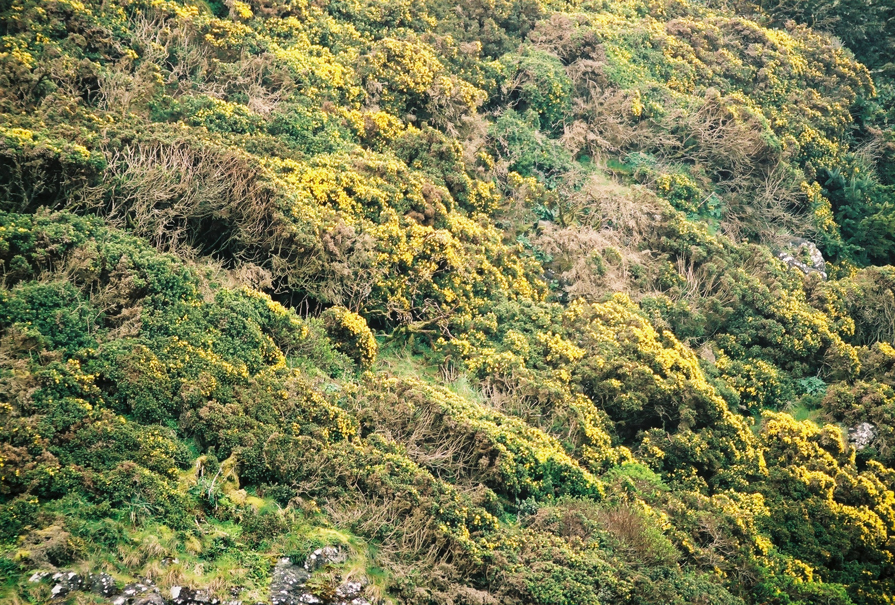 Oregon Coast