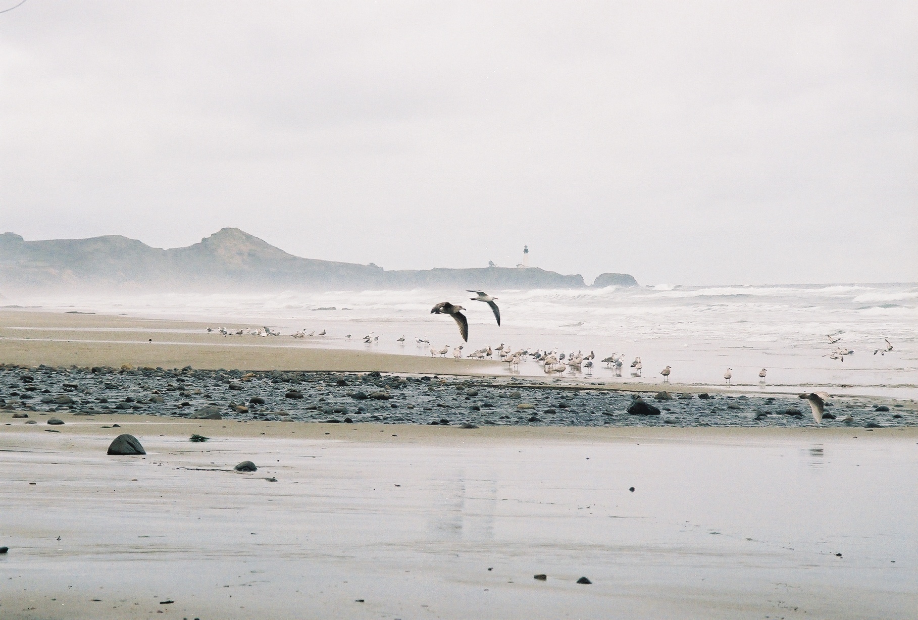 Oregon Coast