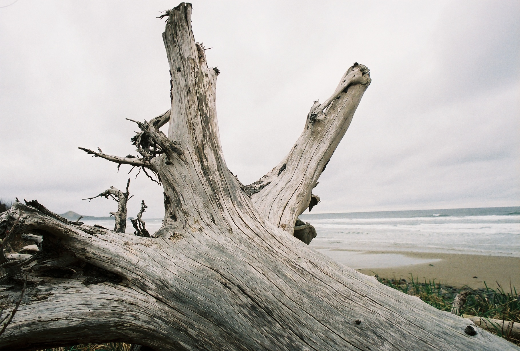 Oregon Coast