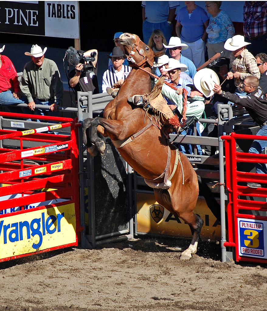 out of the chute