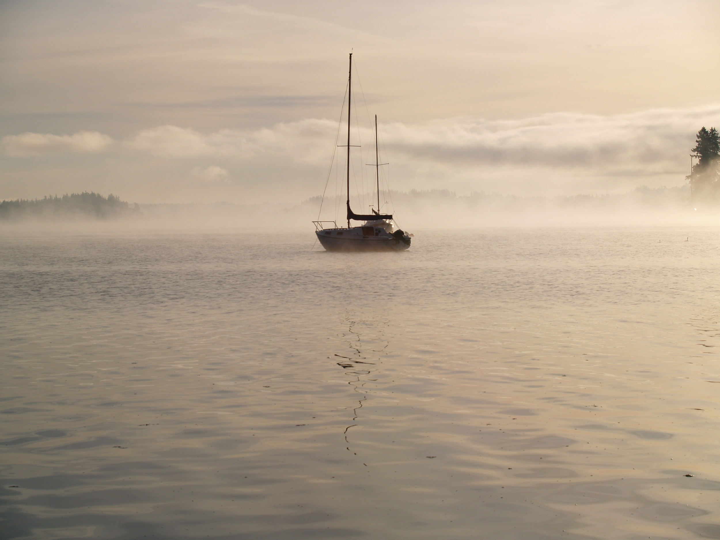 Out of the Fog
