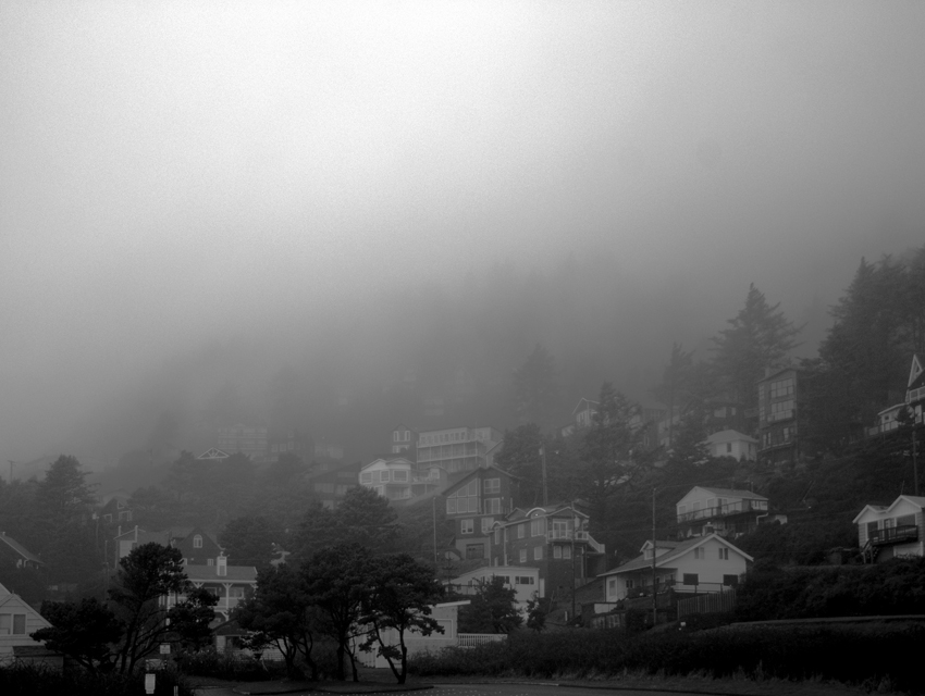 Out of the mist