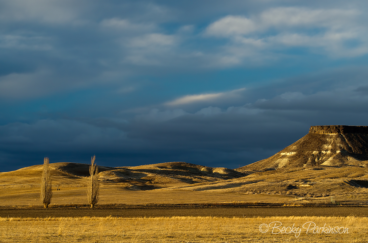 Owyhee County