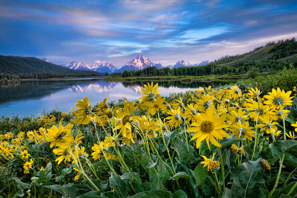 Oxbow Bend, Teton national park