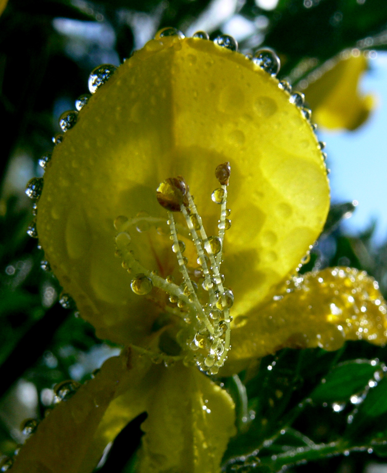 P1550203-1