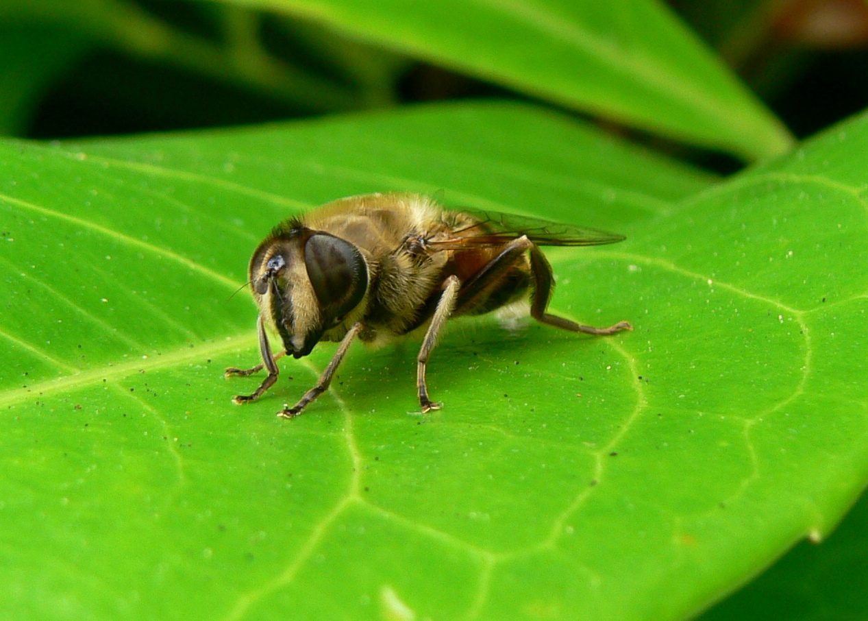 P1600557-11