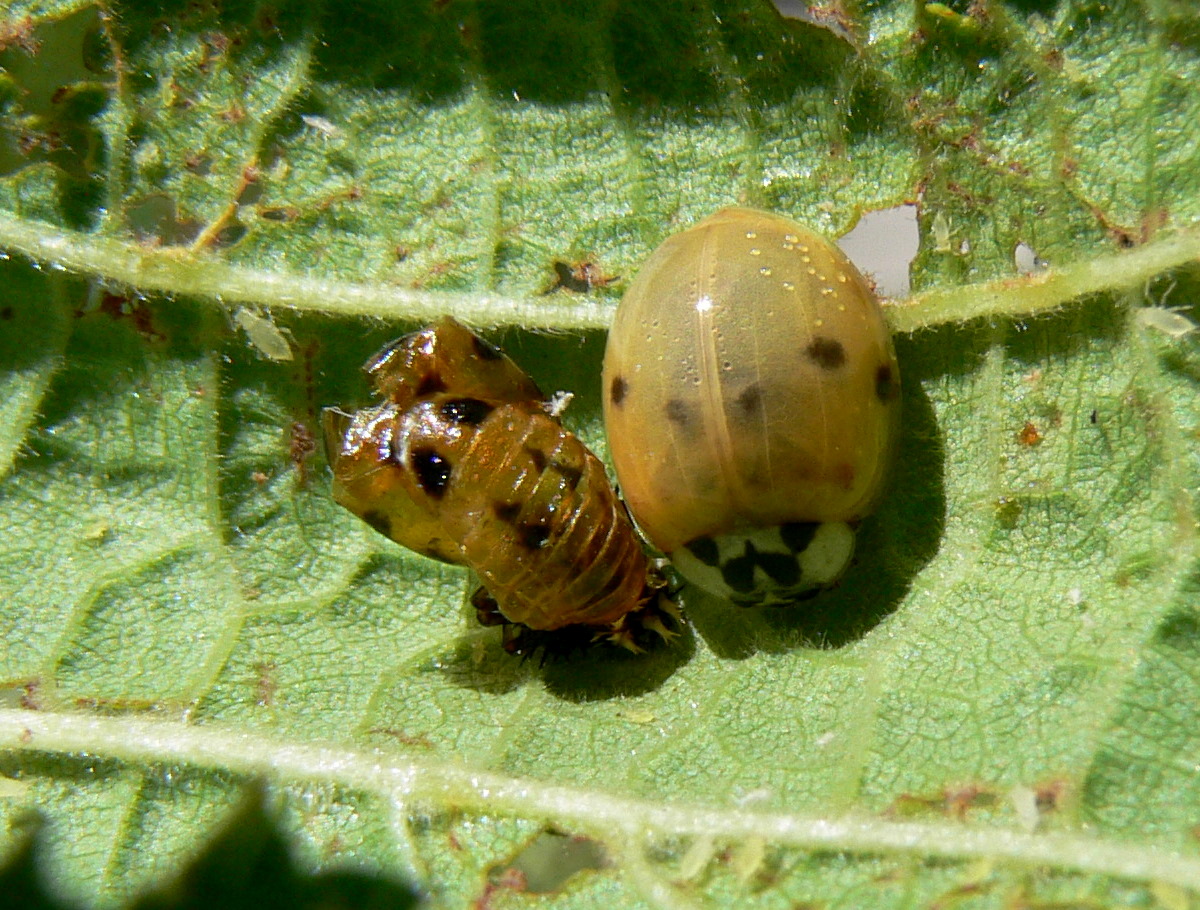 P1620974-1