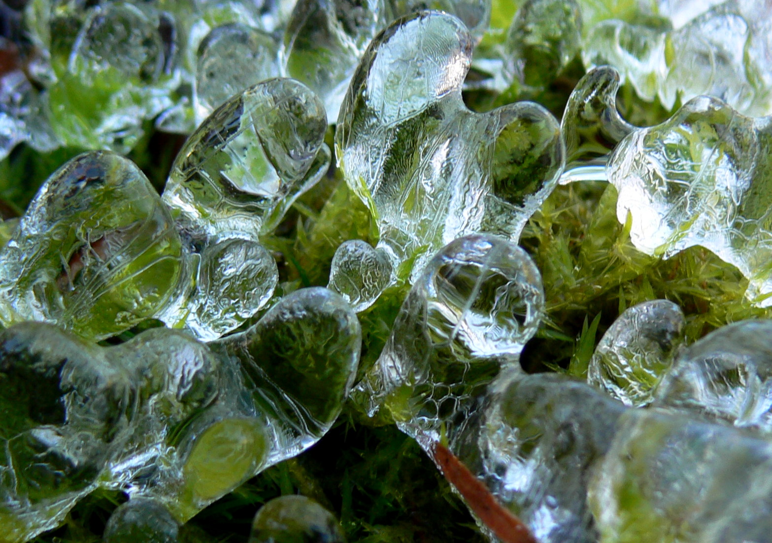 P1700675