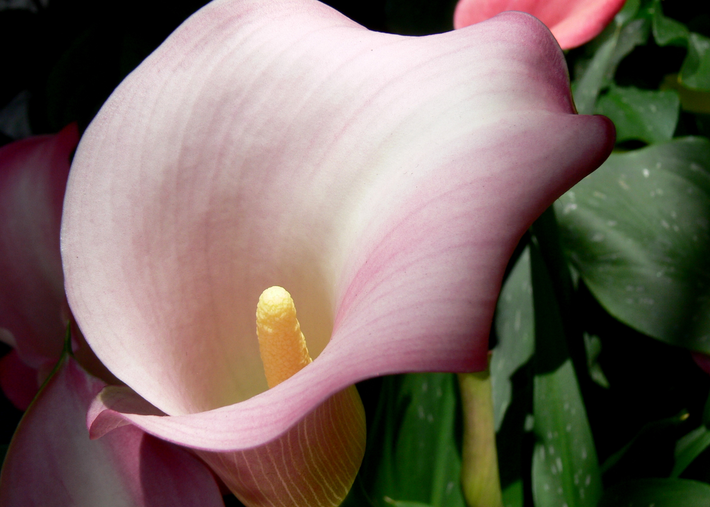 P1770541