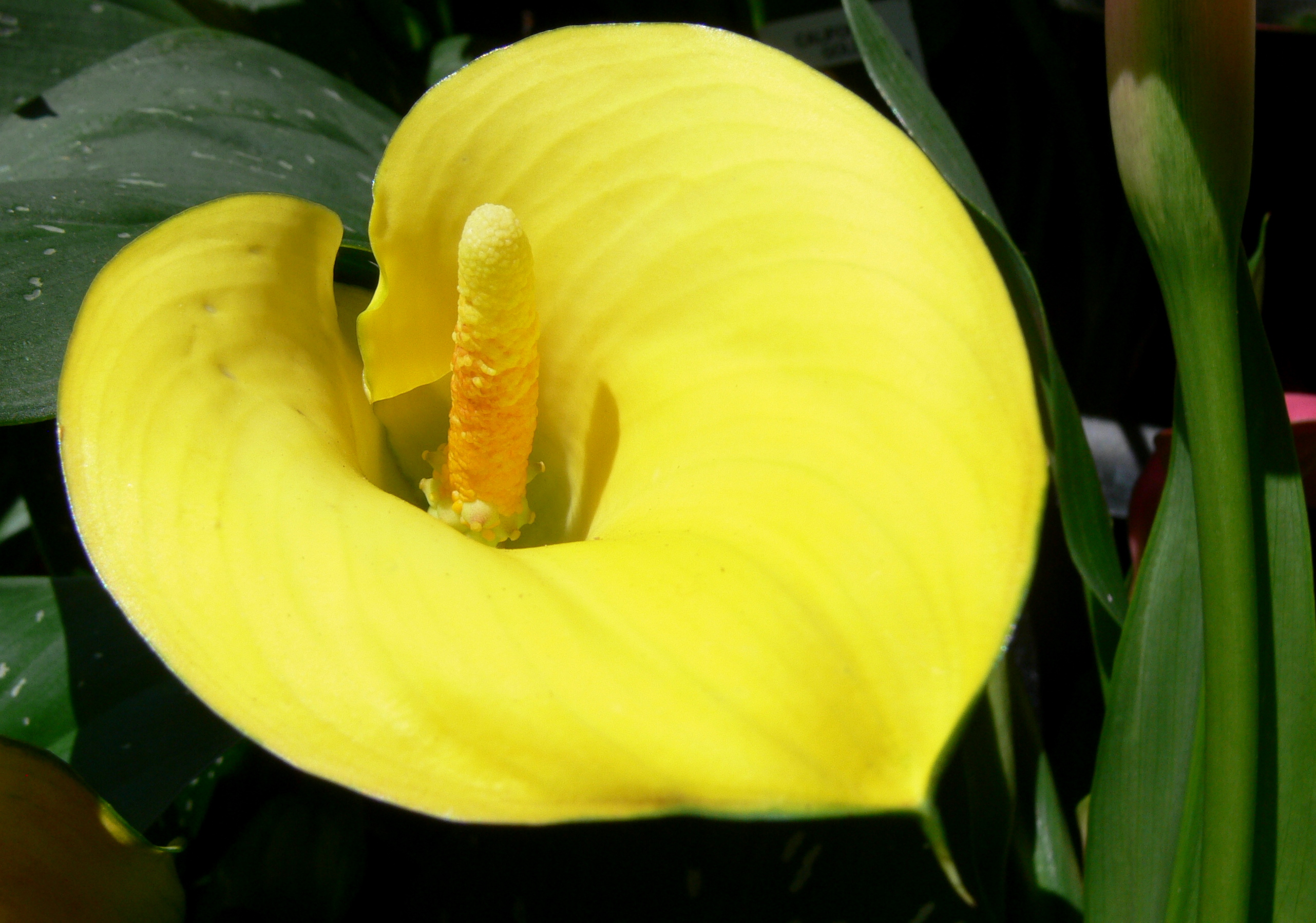 P1770545