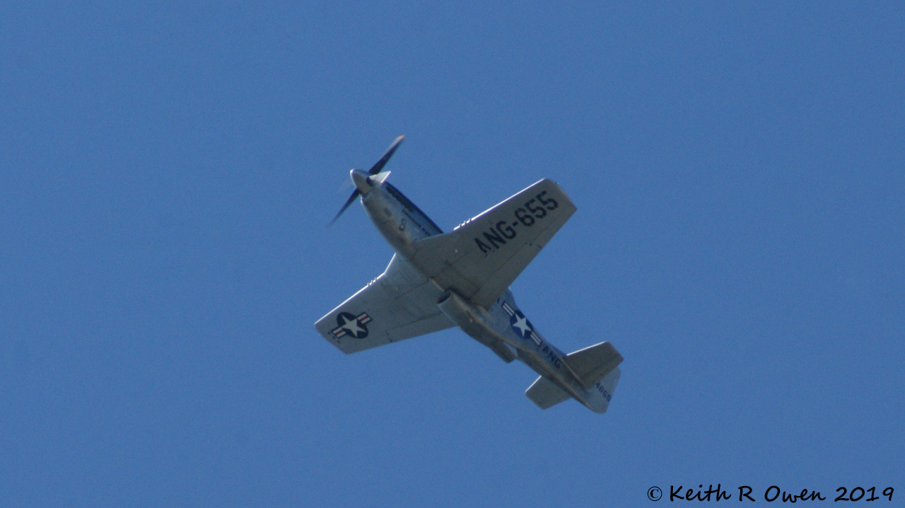 P51