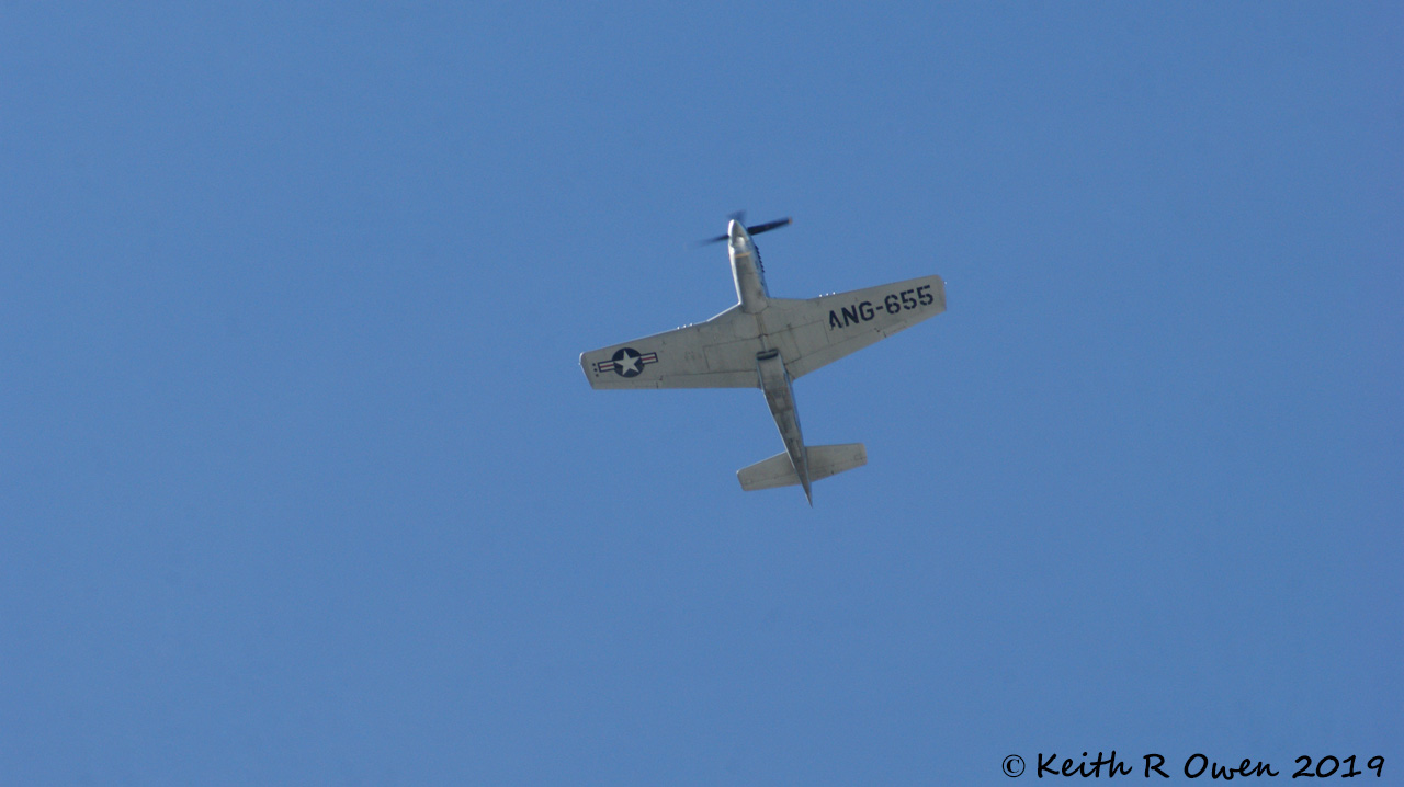 P51