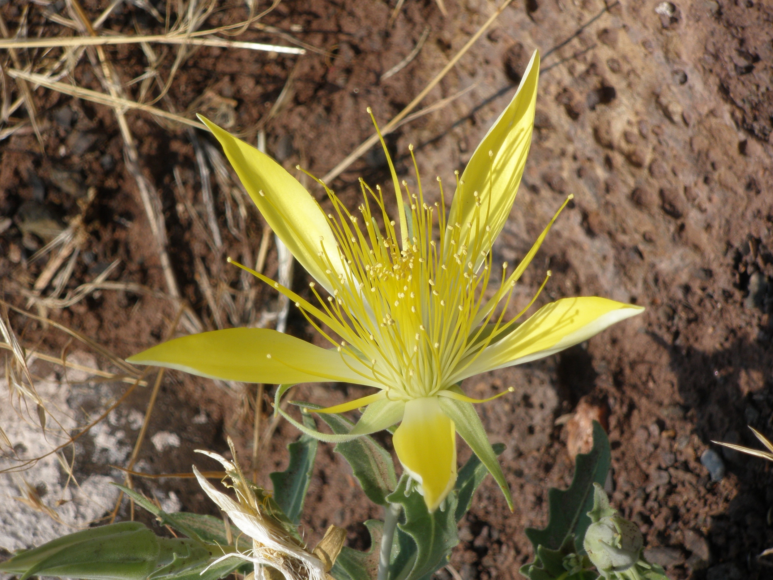 P8070026
