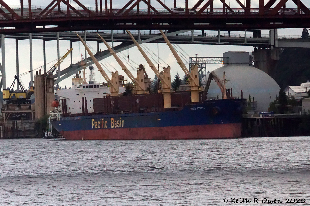 Pacific Basin ship "Bass Strait"