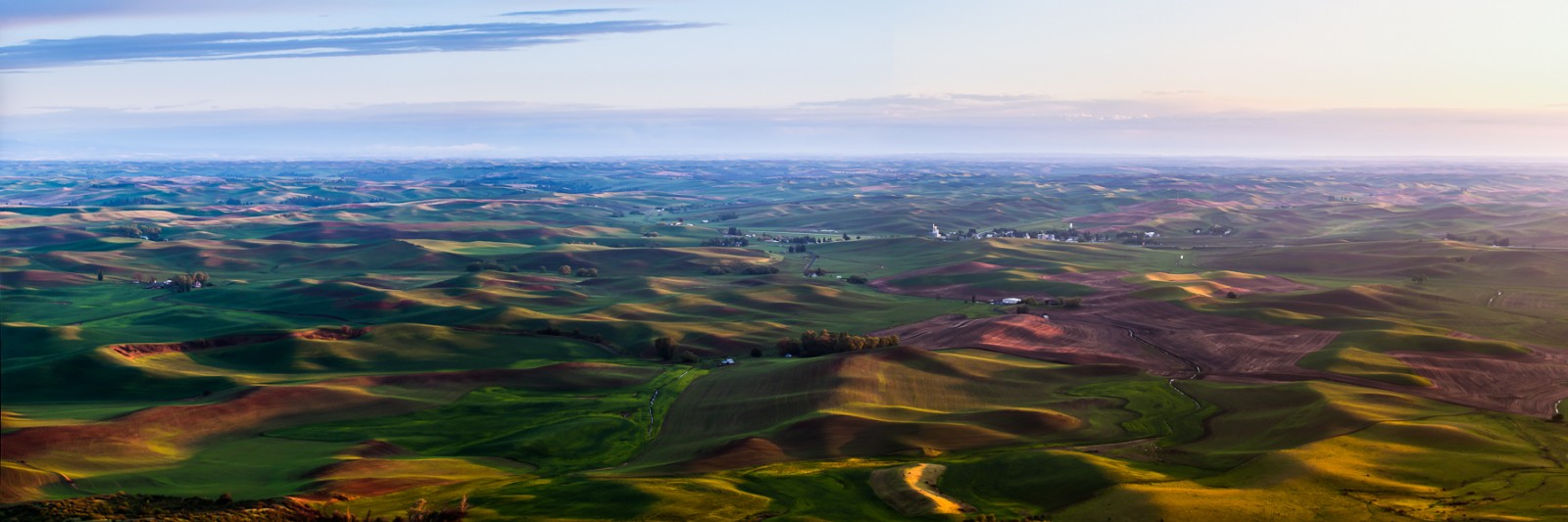Palouse Panorama