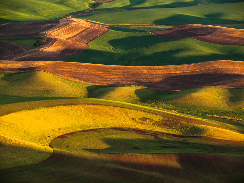 Palouse Spring
