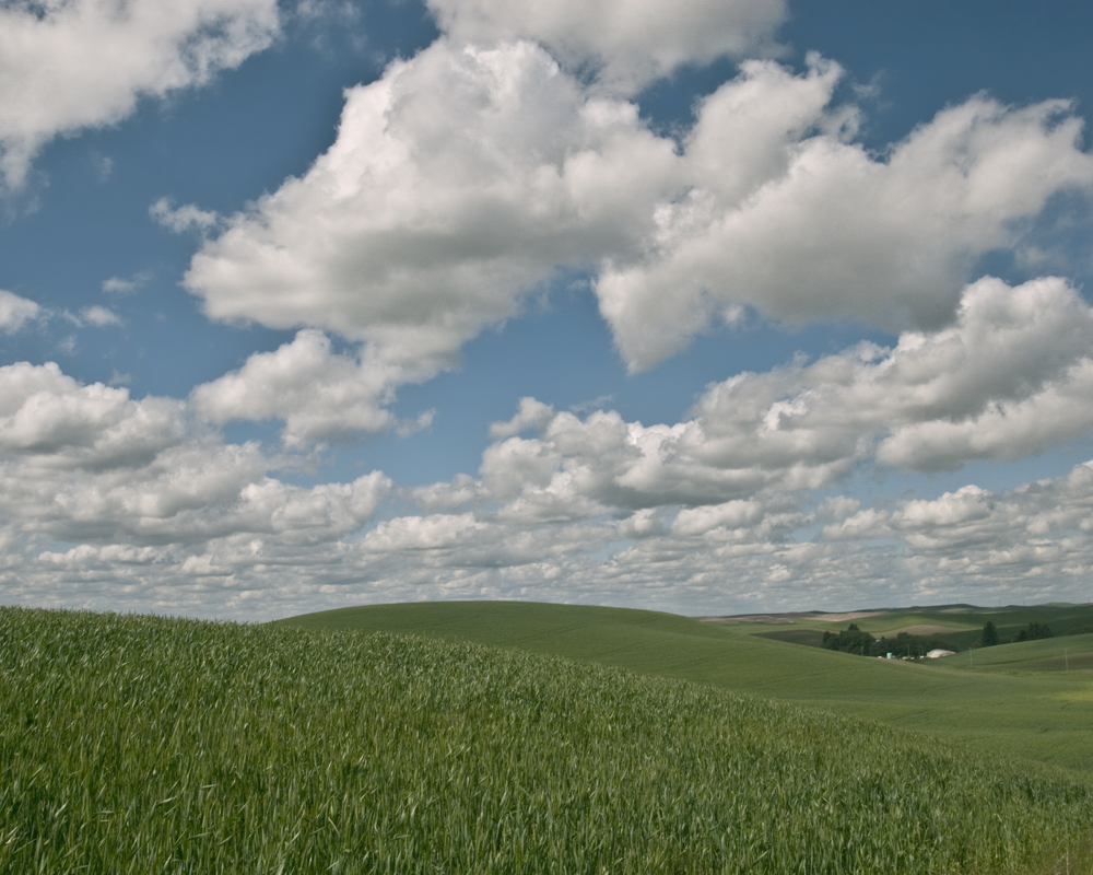 Palouse Study #2