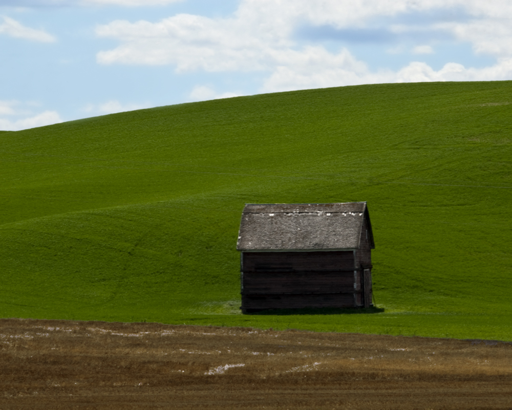 Palouse Study #3