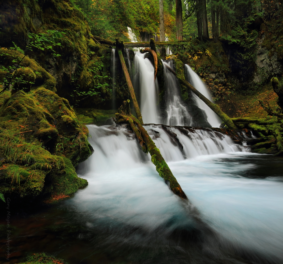 PANTHER CREEK FALLS ~ Lower Tier