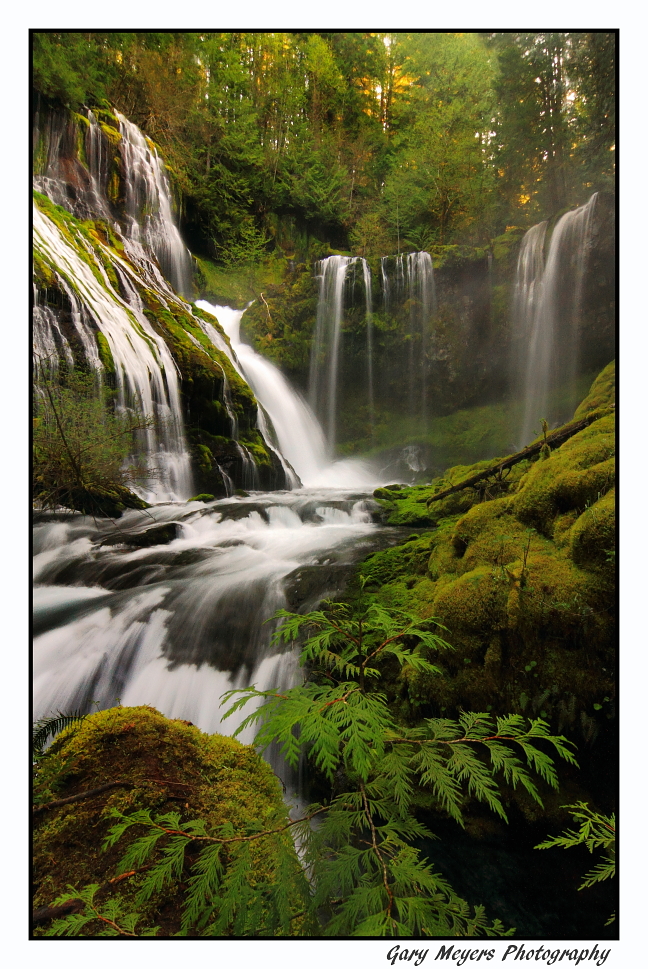 Panther Creek  Falls