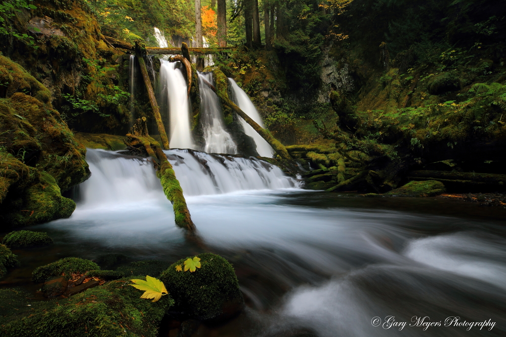 Panther Creek Falls