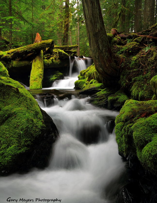 PANTHER CREEK