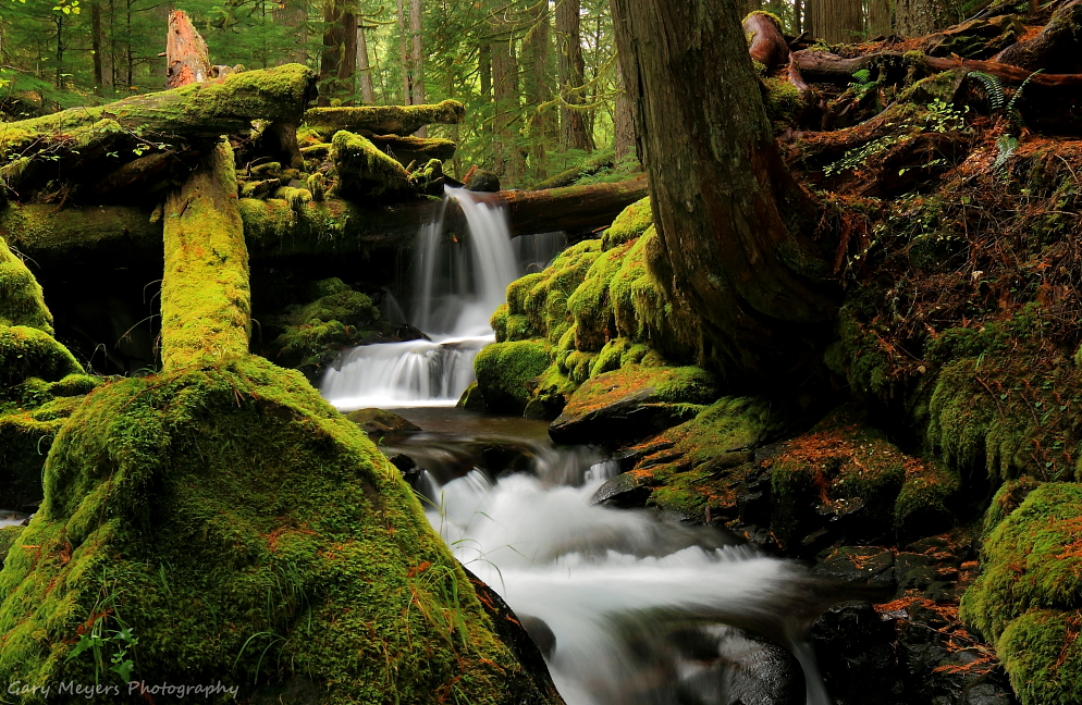 PANTHER CREEK