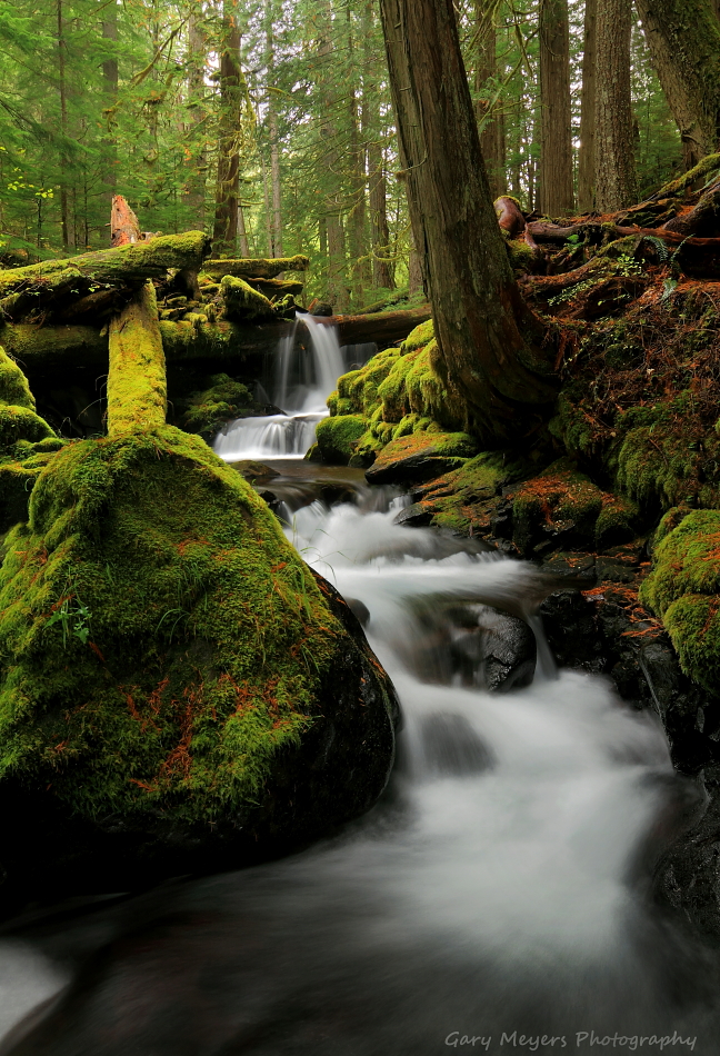 Panther creek!