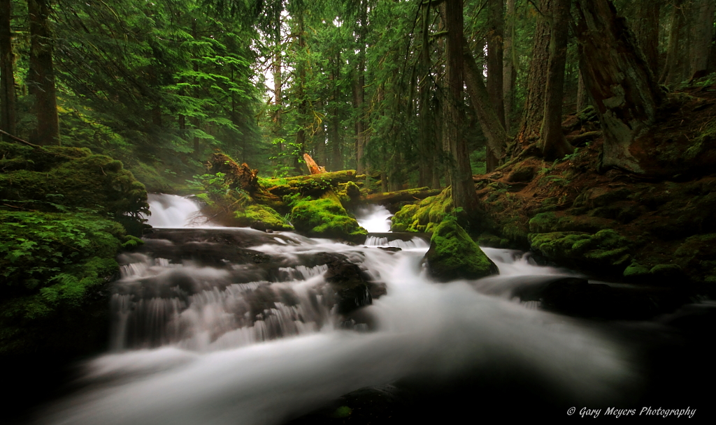PANTHER CREEK