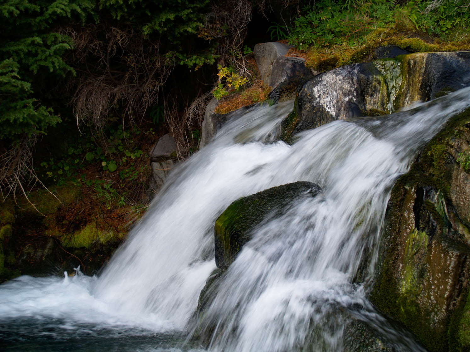 Paradise Cascade