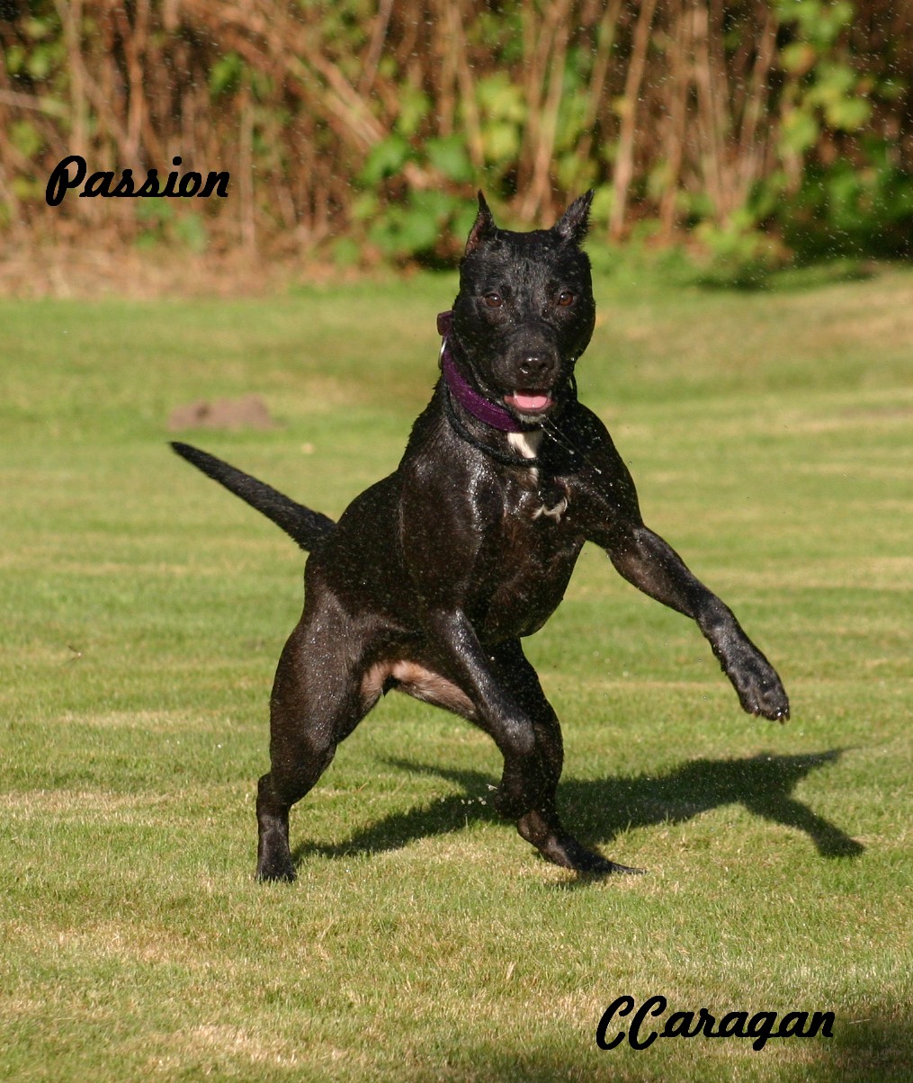 Passion_Sept_4_08_0142