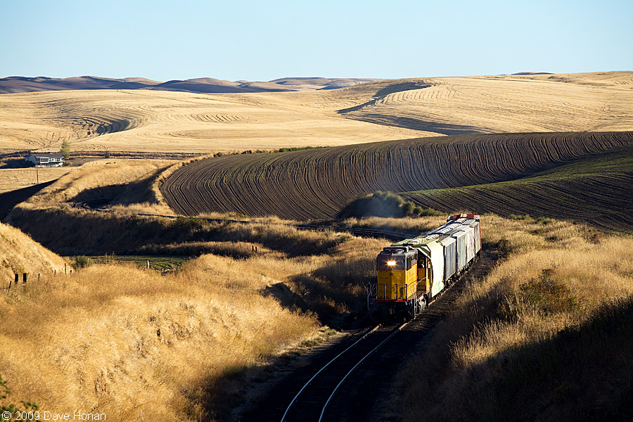 PCC grain train in the Palouse