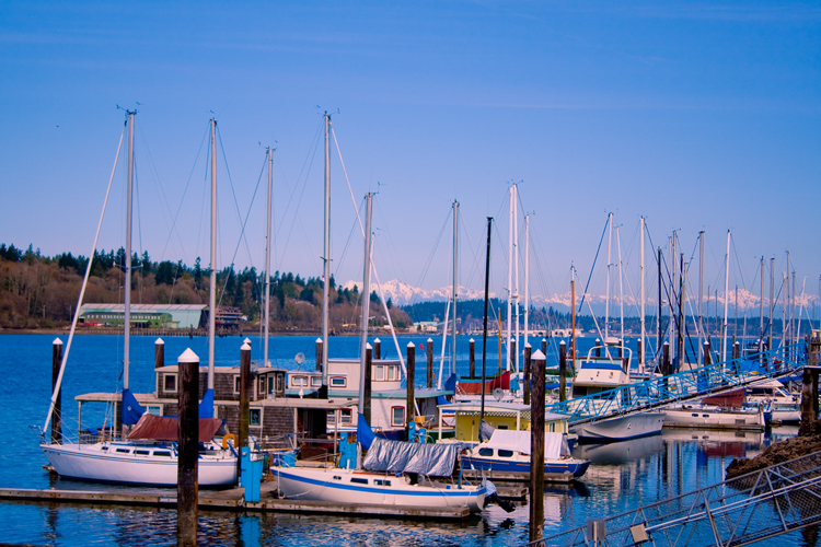 Percival Landing