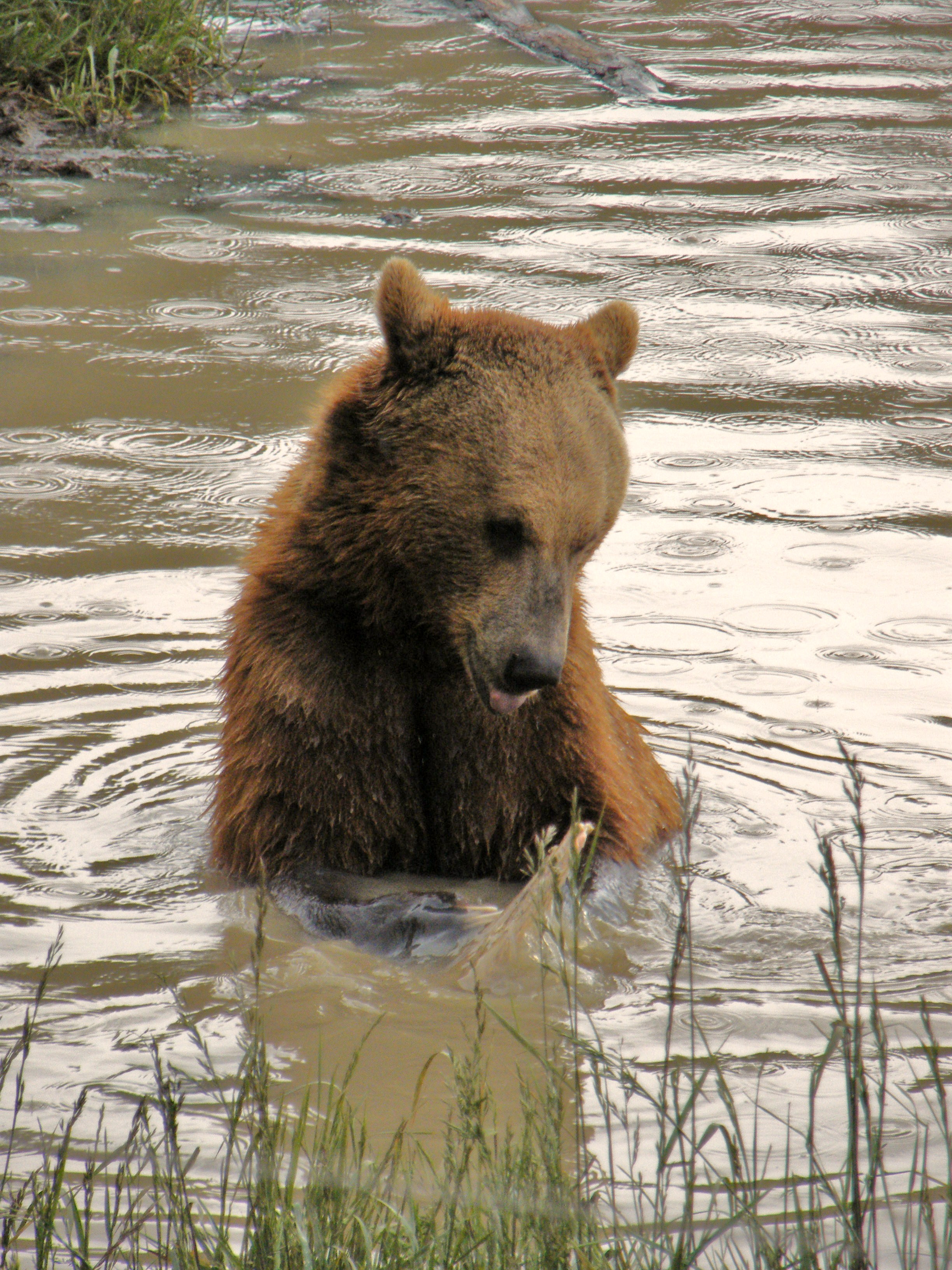 Playing in the Water