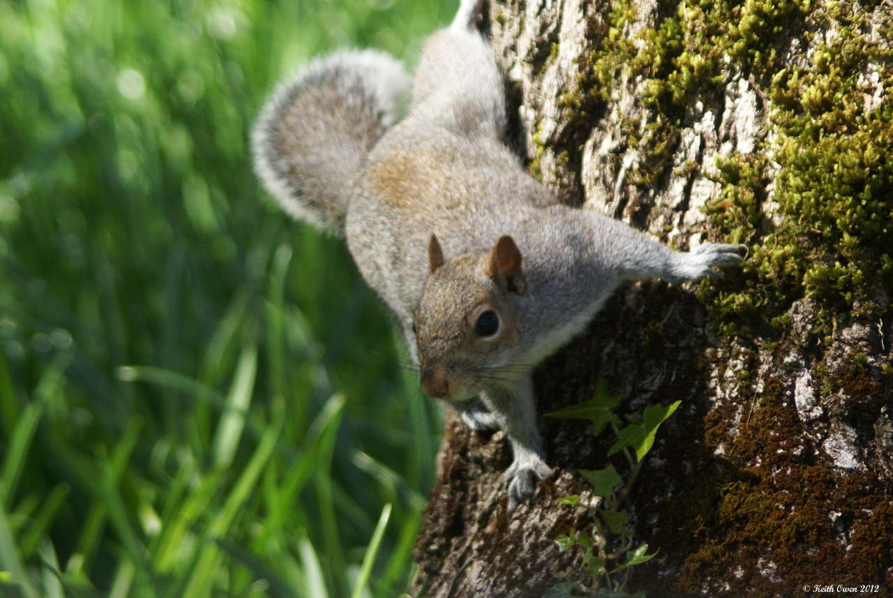 Playing Peek-a-Boo