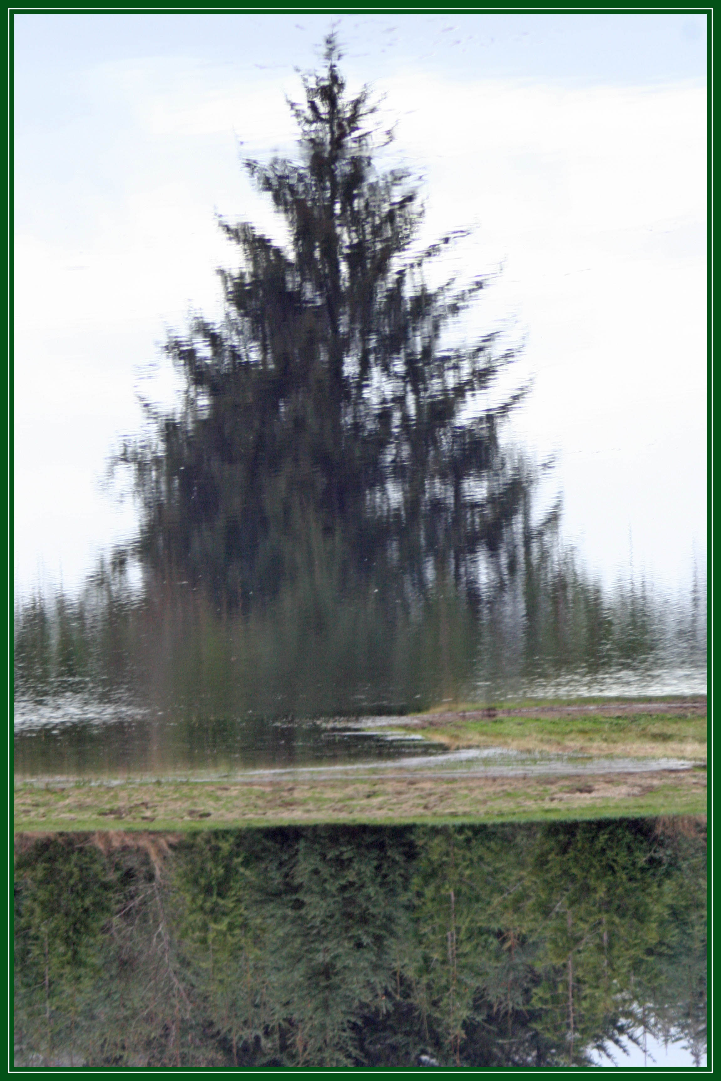 Playing with Pond Reflection