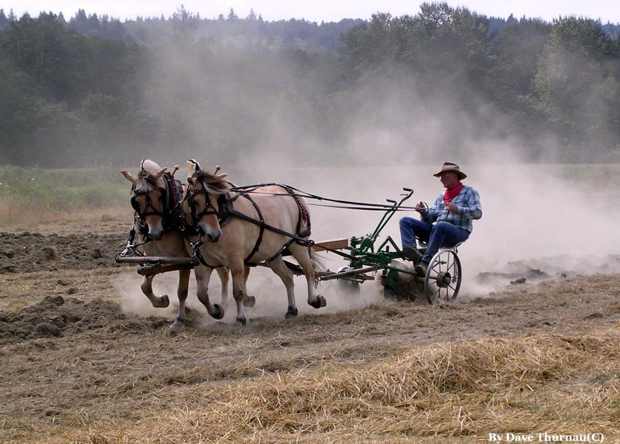 plowing