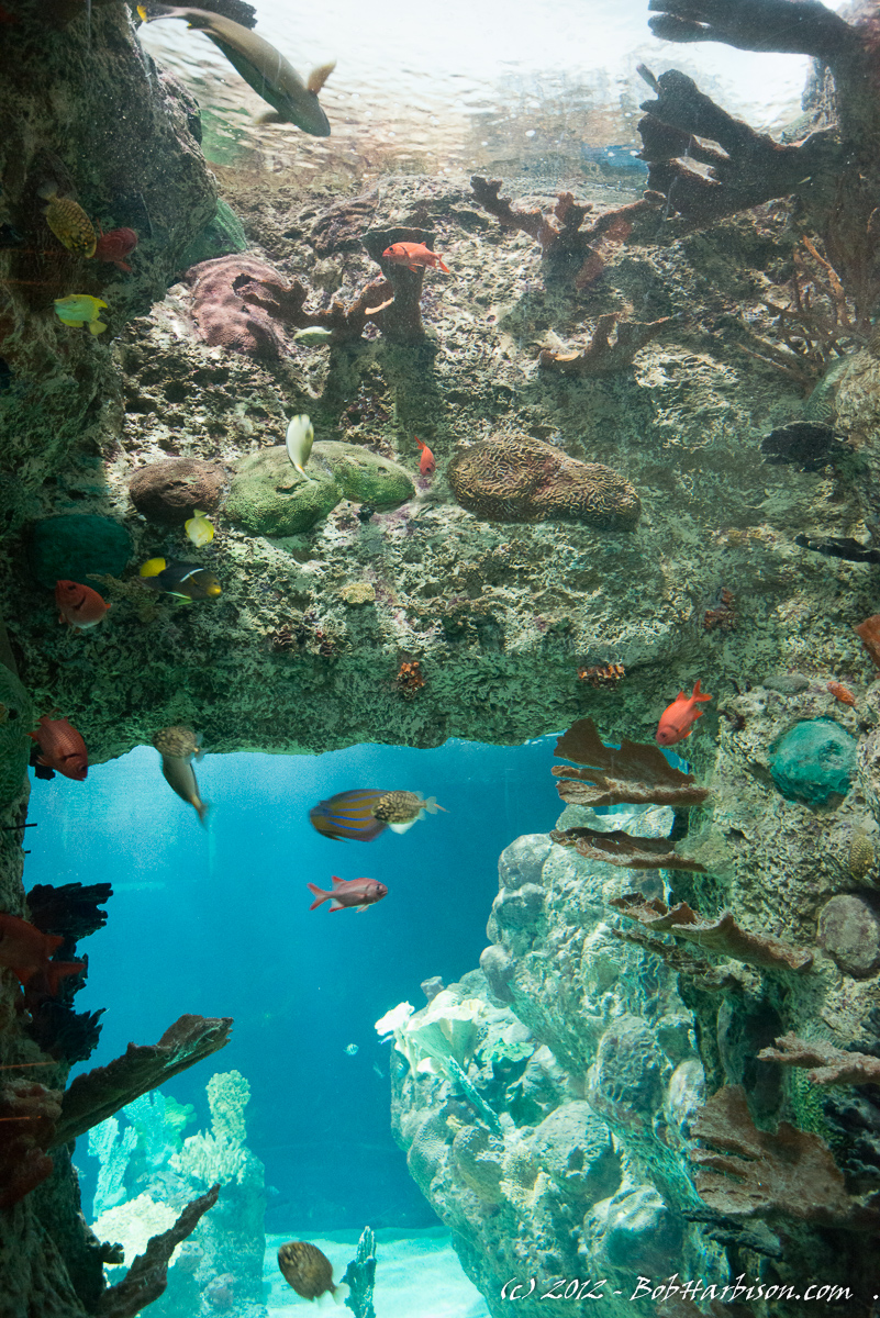 Point Defiance Zoo