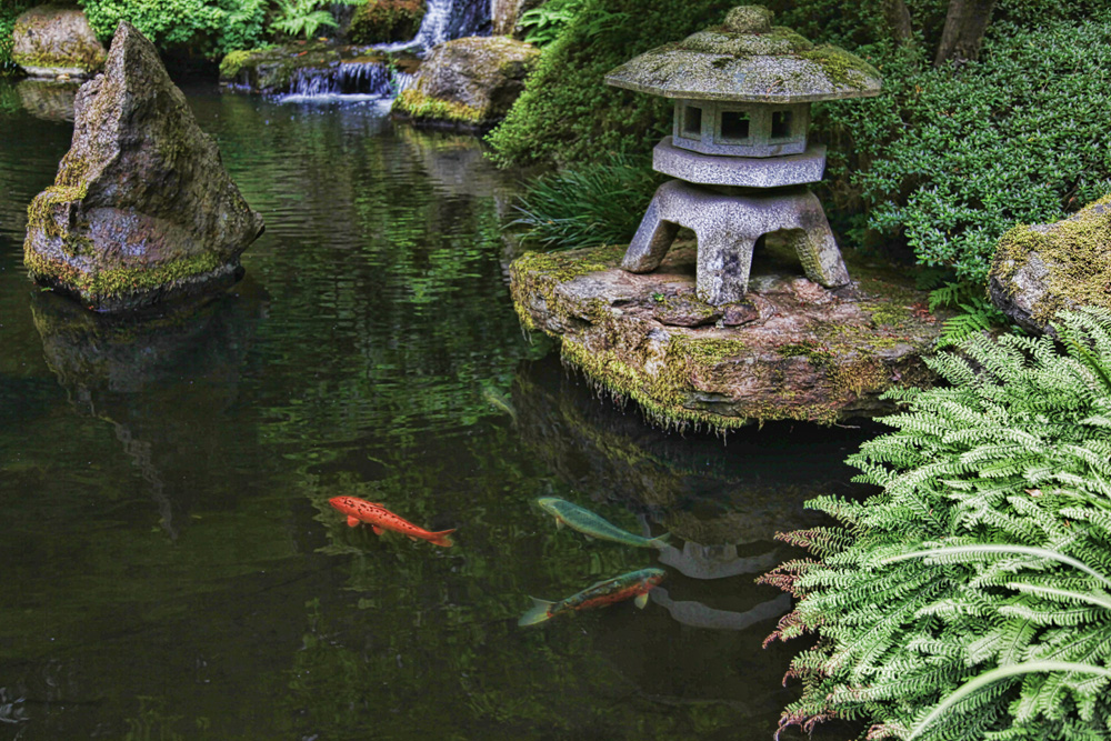 Portland Japanese Garden Koi Pond